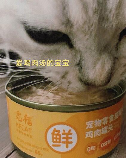 猫咪真的能享用生菜吗？——探索猫咪的饮食新世界