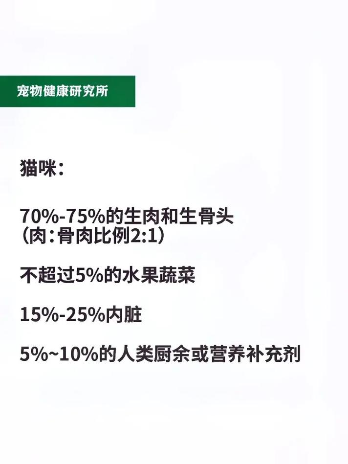 探索猫咪与生骨肉的微妙关系