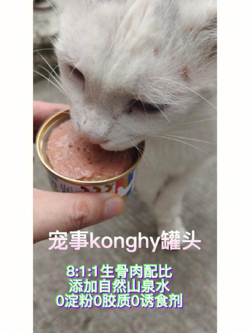 猫咪对罐头的爱与恨，揭秘它们的真实喜好