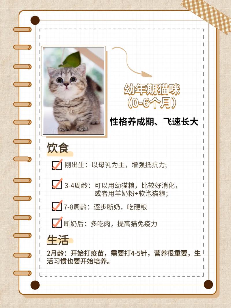 猫咪怀孕为何呕吐，孕期护理小贴士