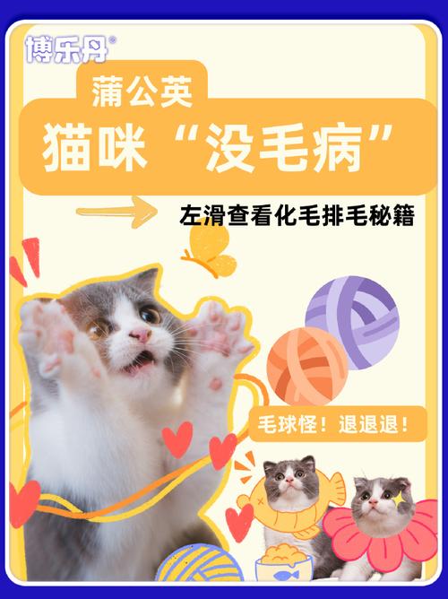 毛发之谜，猫咪为何会把毛舔黄了？