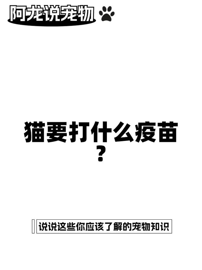 猫咪打疫苗的重要性，保护它们免受疾病侵害