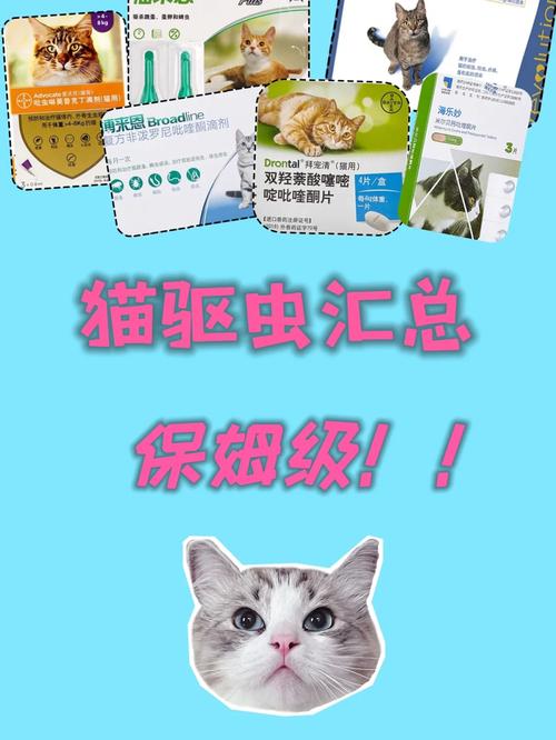 猫咪滴了福来恩，预防常见寄生虫的妙招