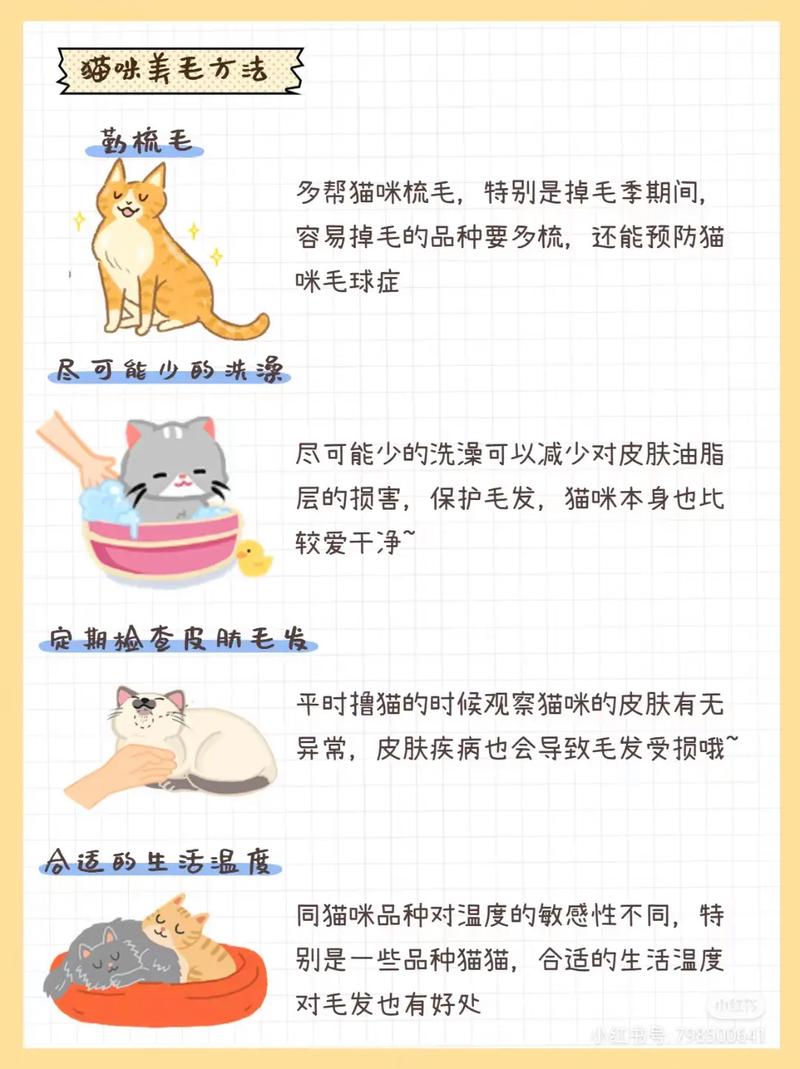 猫咪掉毛变瘦？揭秘背后的隐藏秘密