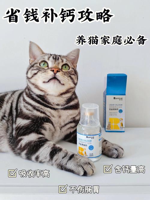 猫咪补钙秘籍，科学饮食让毛孩子更健康