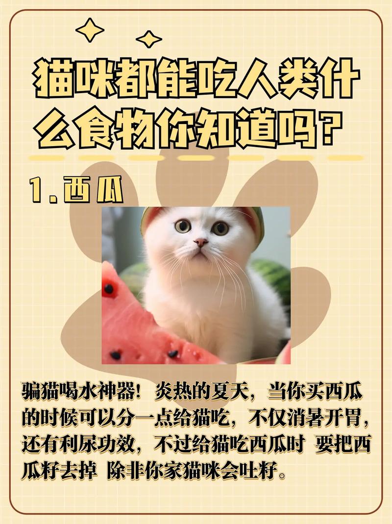 猫咪的美食世界，揭秘它们最爱吃什么