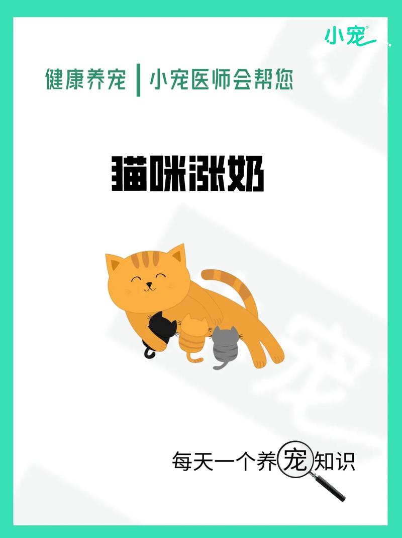 小猫长大后还能喝妈妈的牛奶吗？揭秘猫咪喝奶粉的秘密