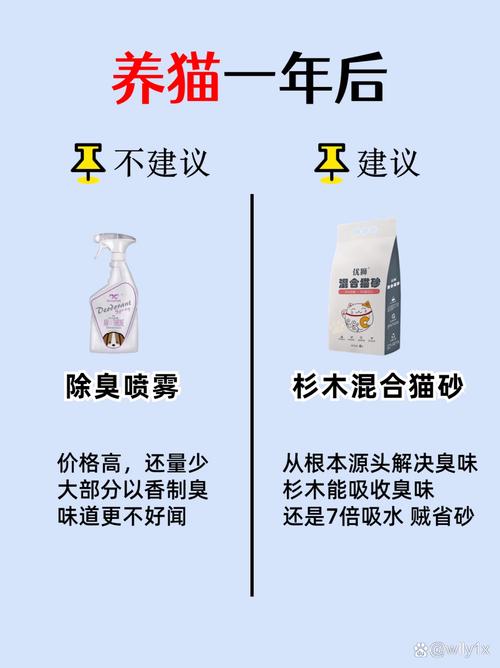 猫咪营养膏的正确用量指南