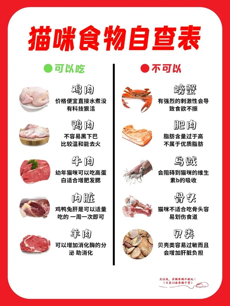 猫咪的饮食全攻略，探索它们最爱吃什么