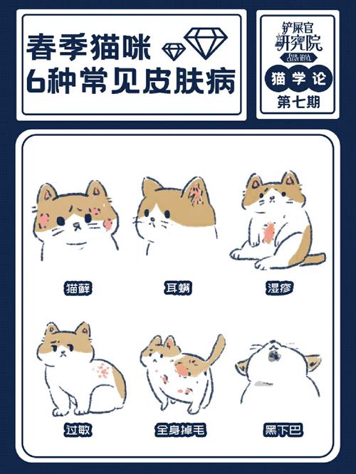 猫咪毛根部结痂，了解原因与护理方法