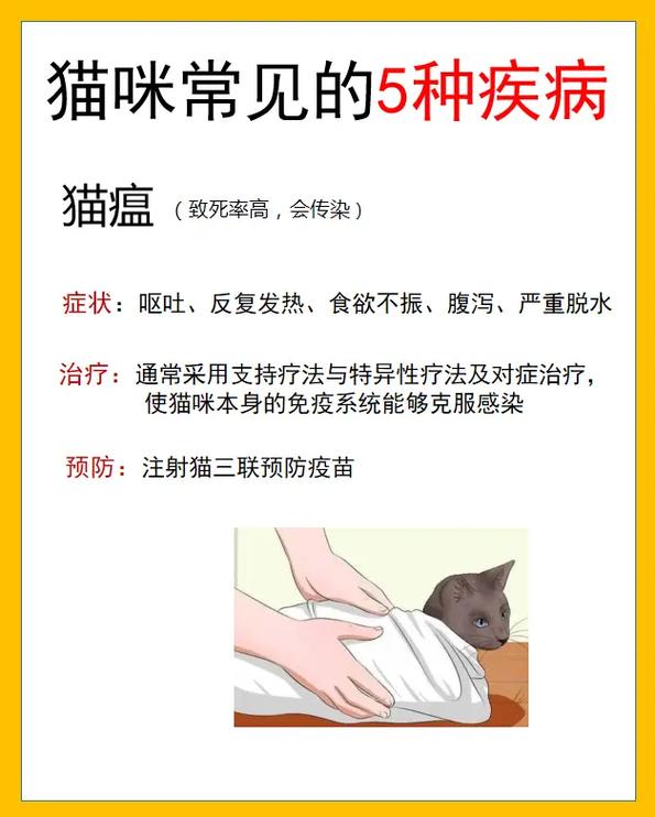 揭秘猫咪瘫痪原因，常见病因解析与预防