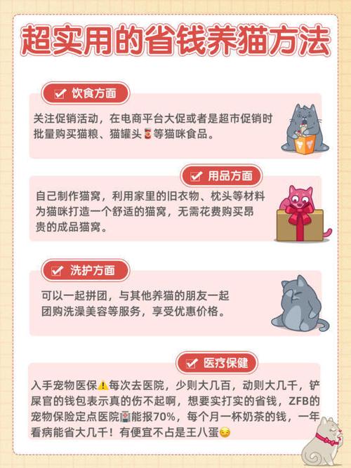 科学喂养猫咪，打造健康快乐小猫的关键