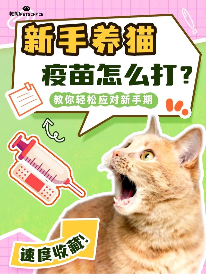 揭秘猫咪打针秘籍，轻松掌握猫咪打预防针的正确方式