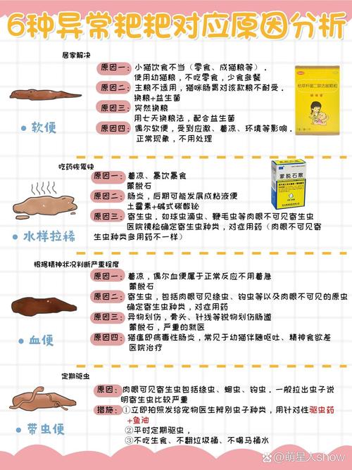 猫咪拉稀，了解症状与解决之道