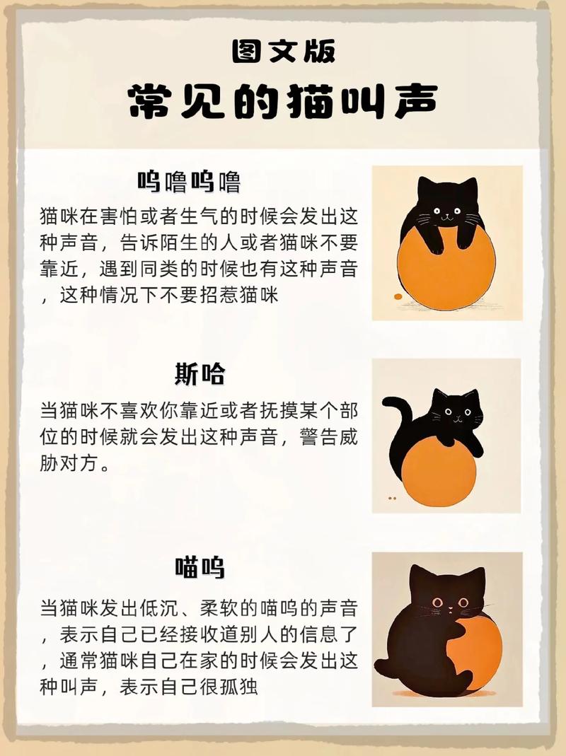 喵语密码，揭秘猫咪独特叫声背后的含义