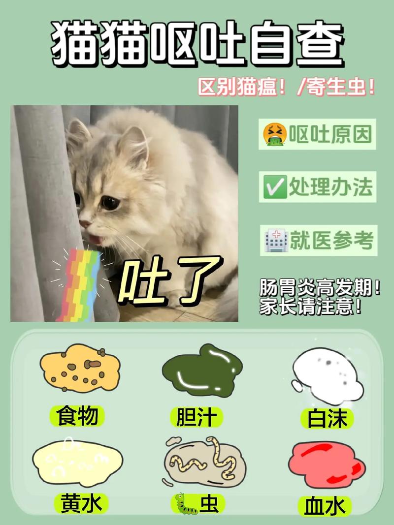 猫咪不吃食呕吐，如何应对猫咪饮食问题