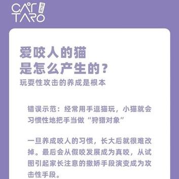 猫咪为何总爱咬人？揭秘背后的心理动机