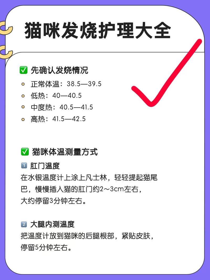 猫咪发烧，原因解析与应对措施