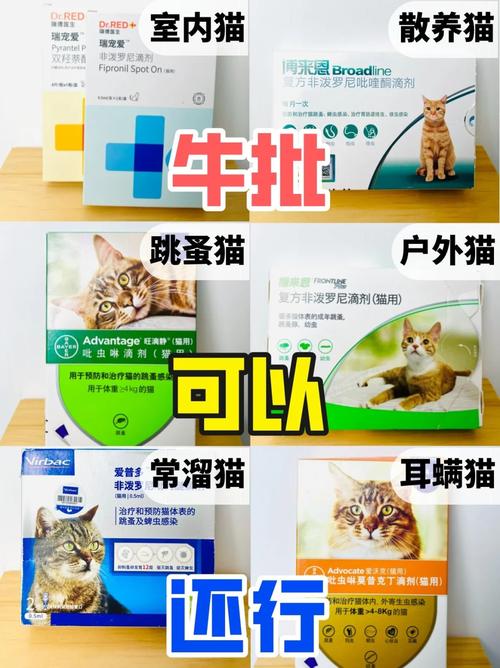 猫咪驱虫药，有效保障毛孩子健康的关键武器