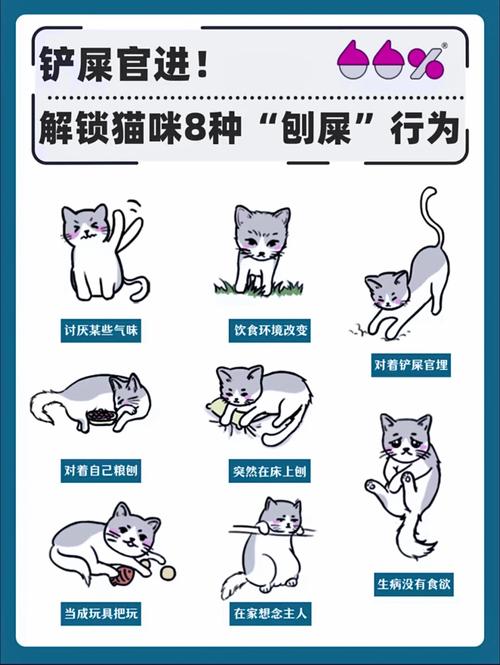 猫咪的秘密——为何它们睡觉时耳朵还在动