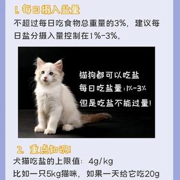 猫咪能否吃盐？揭秘猫咪饮食中的禁忌