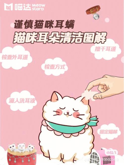 猫咪耳道清洁小贴士，保护毛孩子耳朵健康