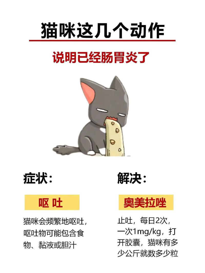 猫咪发烧的正确应对方法