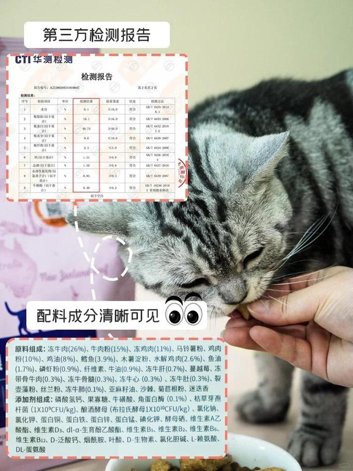 猫咪配种后的呕吐，如何应对和处理