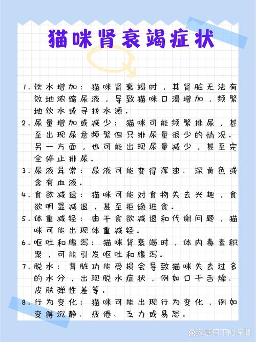 猫咪肝肾衰竭，了解症状与早期治疗的重要性