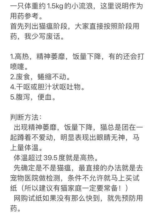 揭秘猫咪猫瘟的治疗费用，了解开支与预防之道