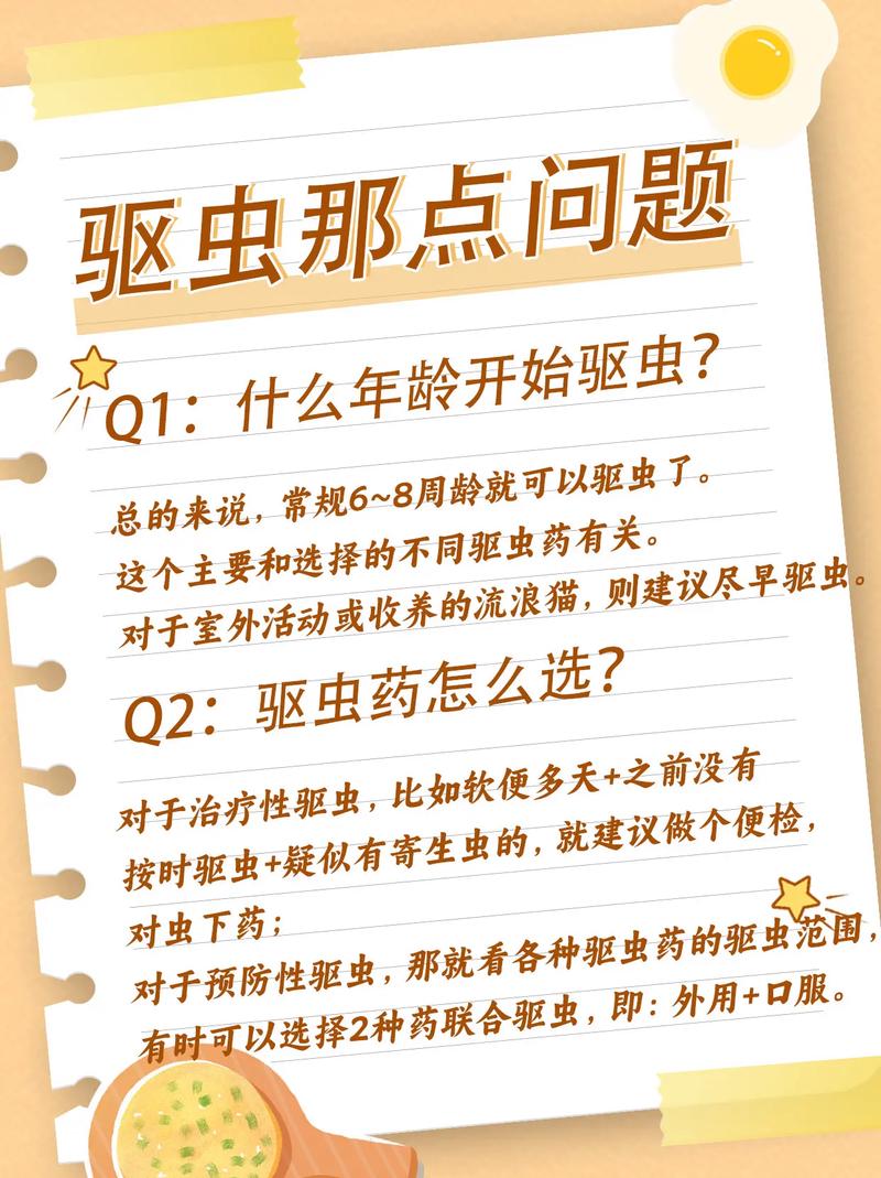 驱除猫身寄生虫——为爱宠保驾护航