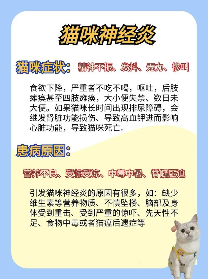 揭秘猫咪神经炎，症状解析与应对策略