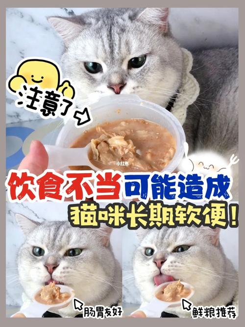 猫咪吃猫粮为何出现软便？如何改善？