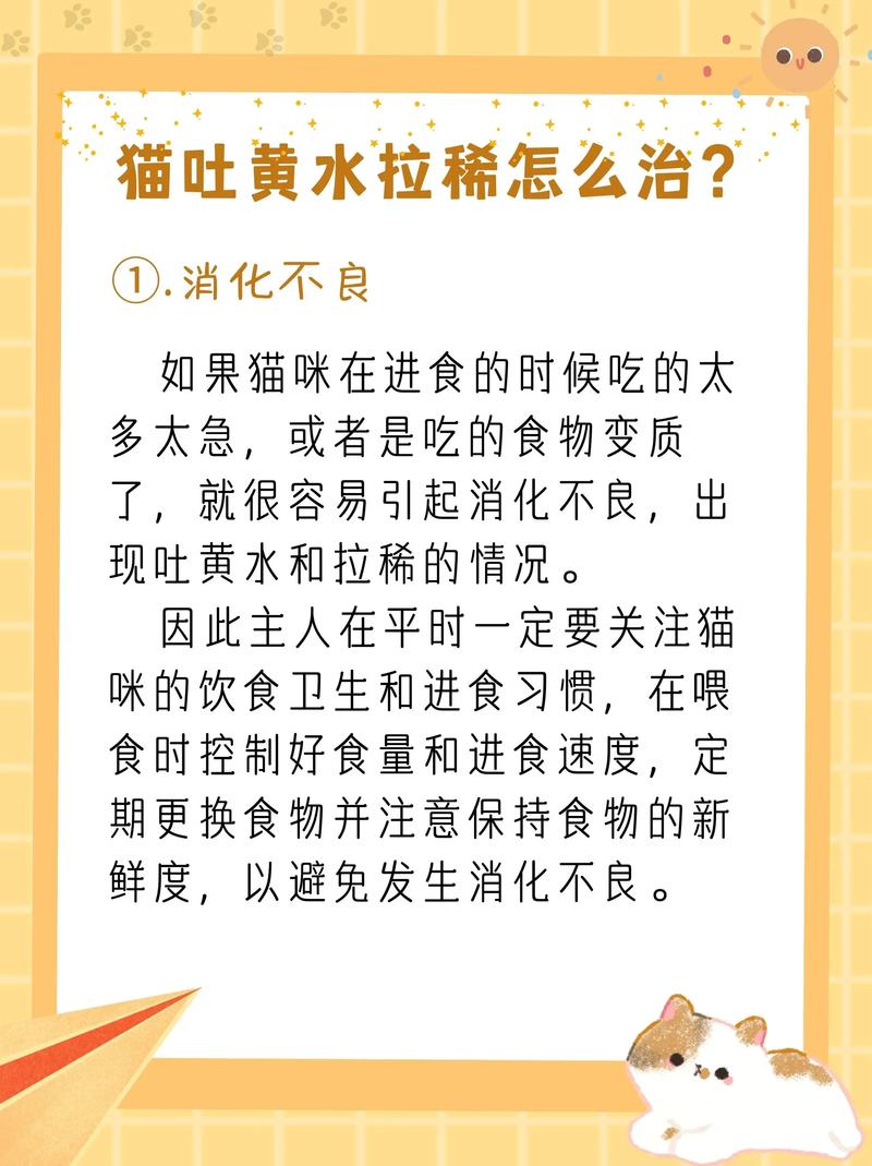 猫咪拉肚子与呕吐的神秘黄水现象