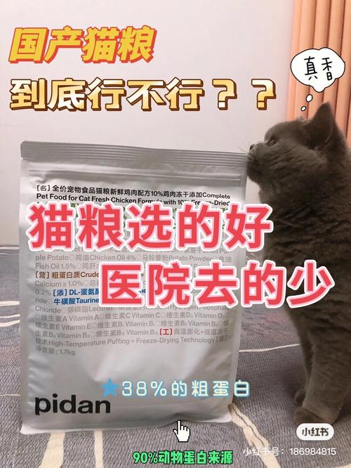 细嚼慢咽——猫咪为何偏好吃碎猫粮