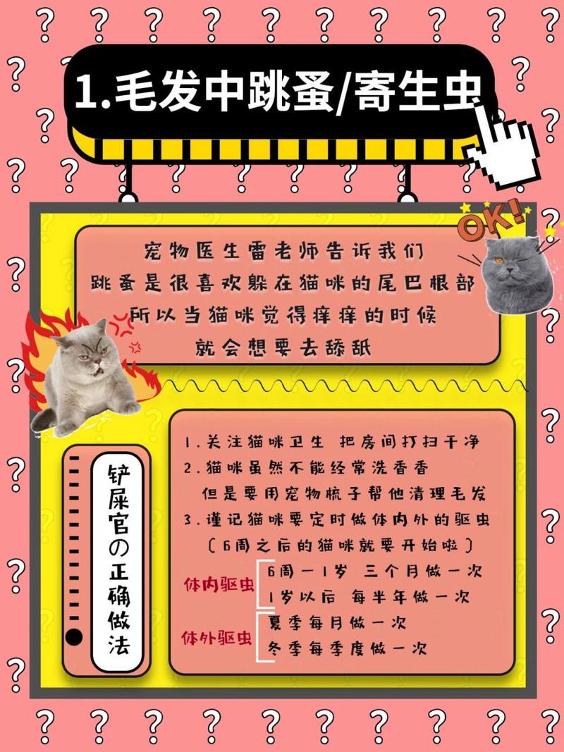 猫咪舔屁股是为什么