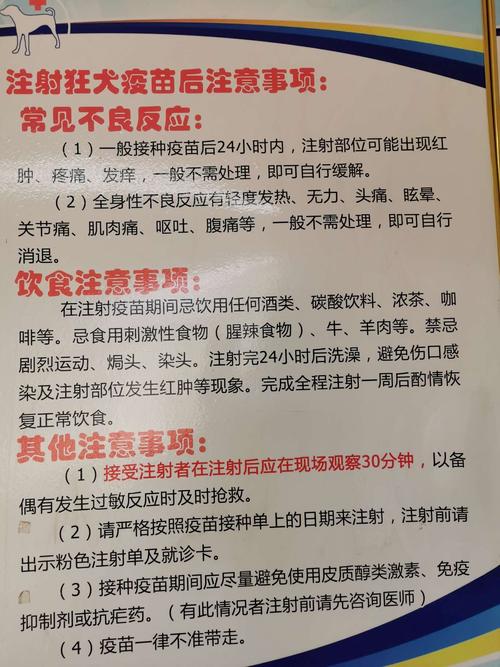 如何应对猫咪咬伤——处理方法与预防措施