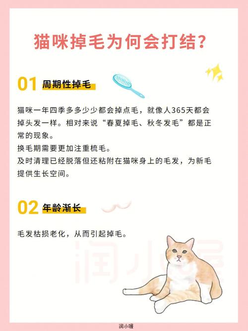 猫咪的毛发保健小贴士，你了解多少？