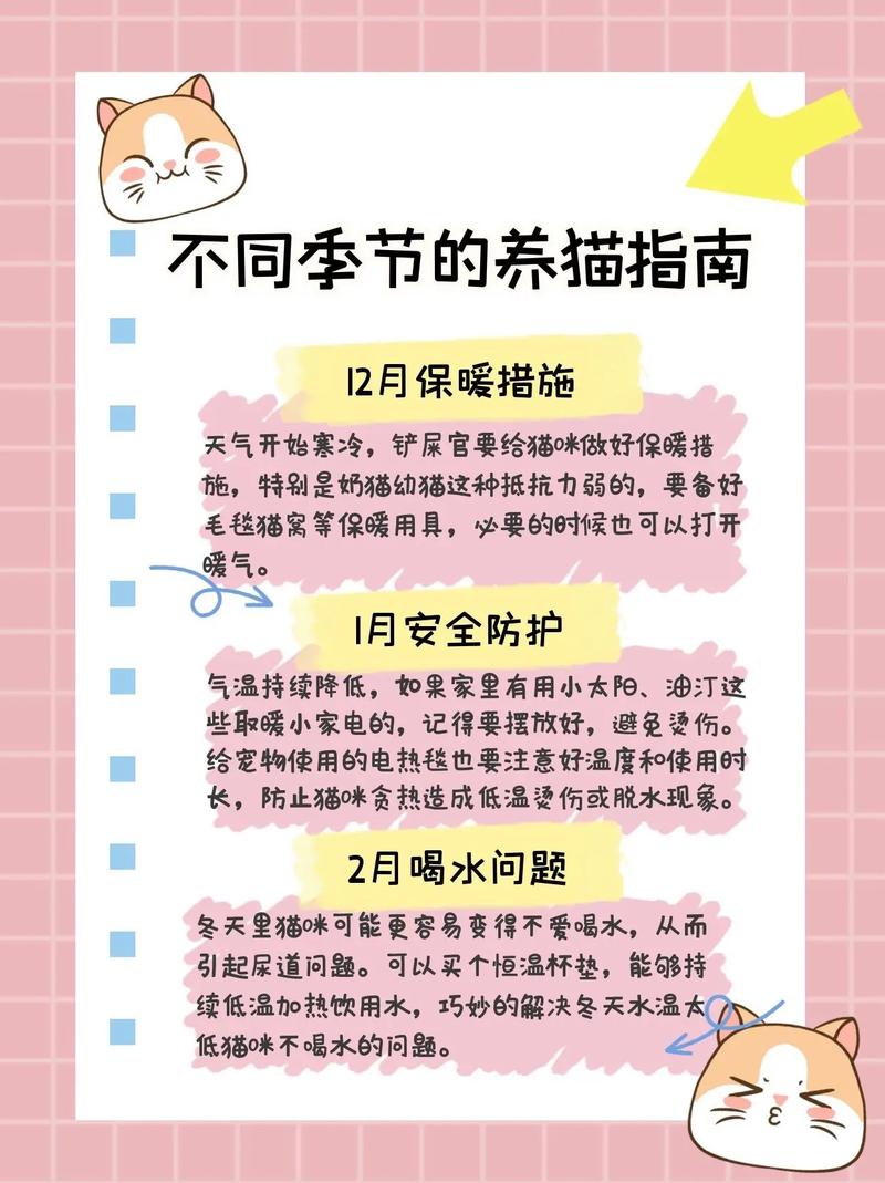 养猫指南，两个月大猫咪的正确饮食量