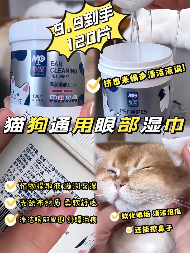 猫咪眼屎的清洁与护理，呵护你的毛孩子