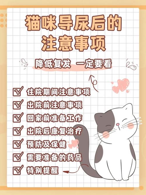 猫咪的漏便问题，预防与解决方法