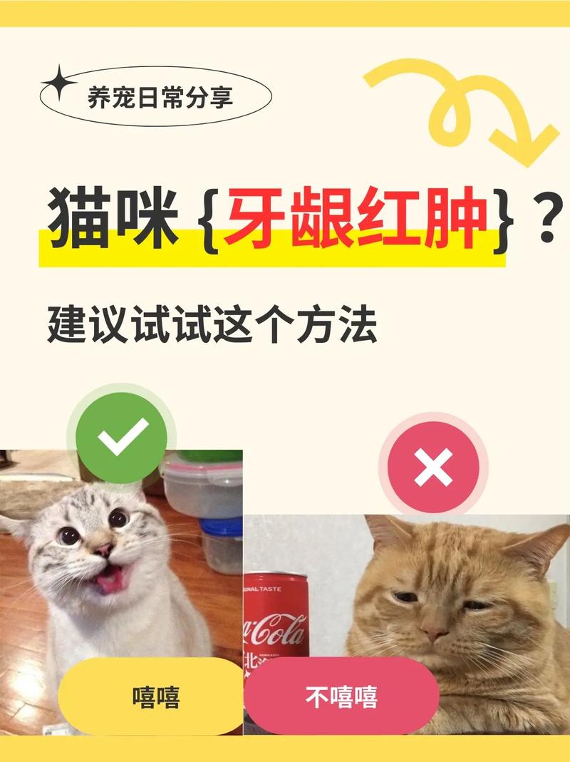 猫咪牙龈发红，如何预防与应对