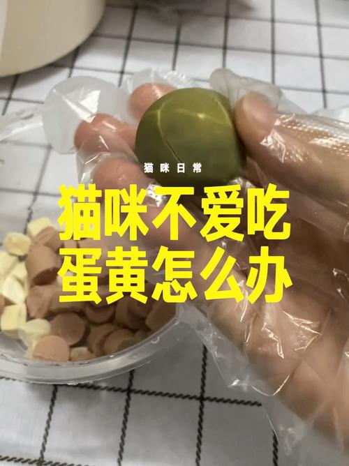 猫咪不吃蛋黄？真相大公开