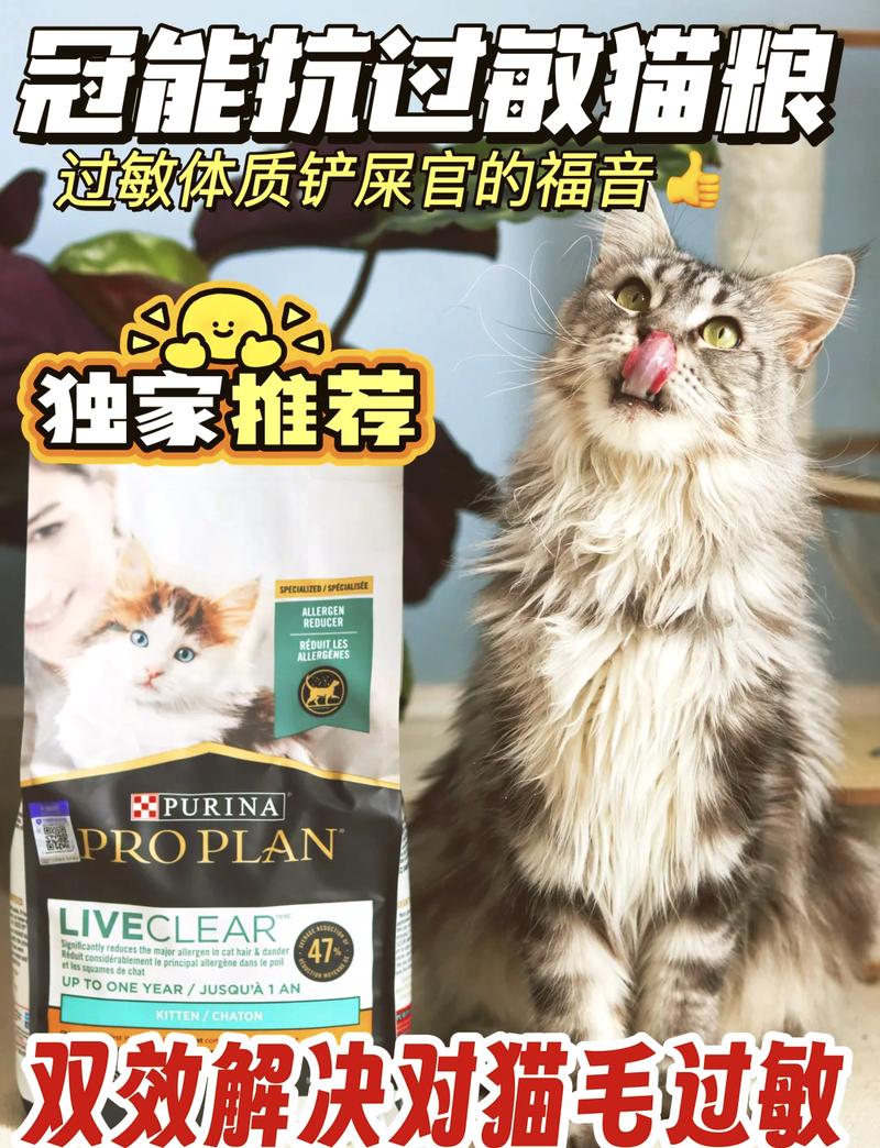 猫毛过敏，了解原因与应对策略