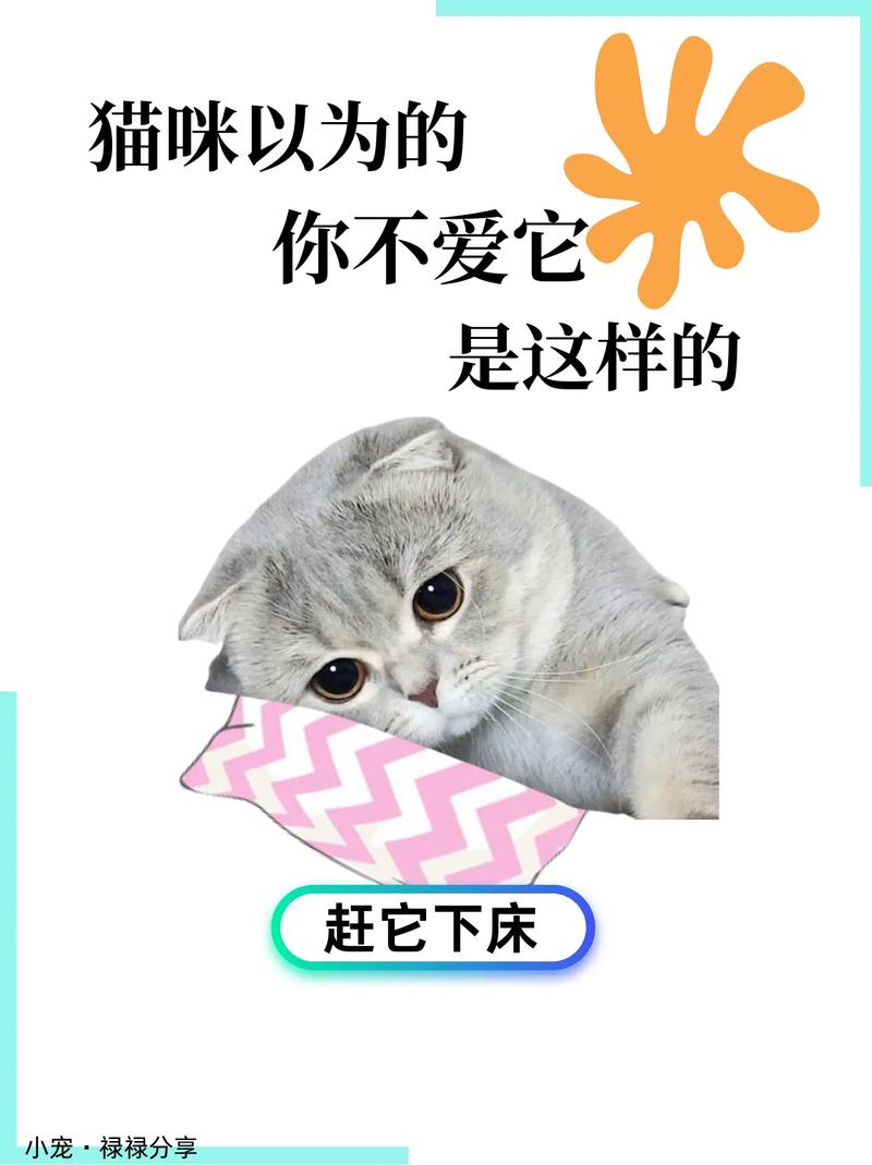 探索猫咪好奇心背后的力量——揭秘它们为何总爱出门