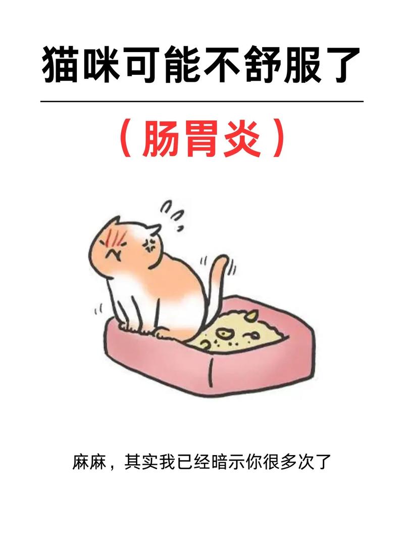 揭秘猫咪胃病的那些事儿