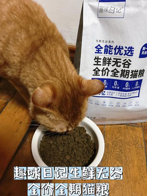 猫咪误食粮食？主人需注意的粮食安全问题