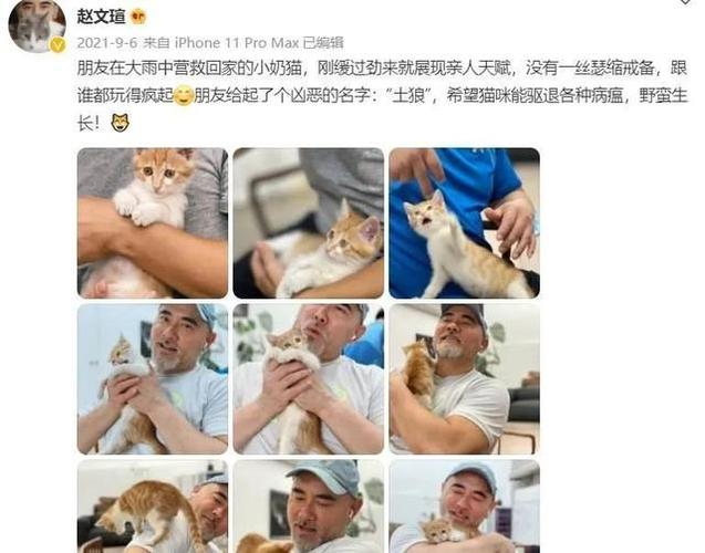 猫咪之友，赵文瑄与他的专属毛孩子