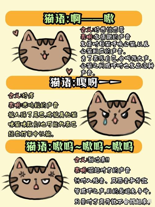 猫咪嘴巴颤抖，解读背后隐藏的猫语