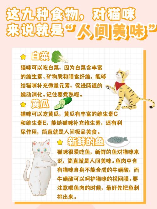 猫咪真的可以享受美味，但食盐需谨慎